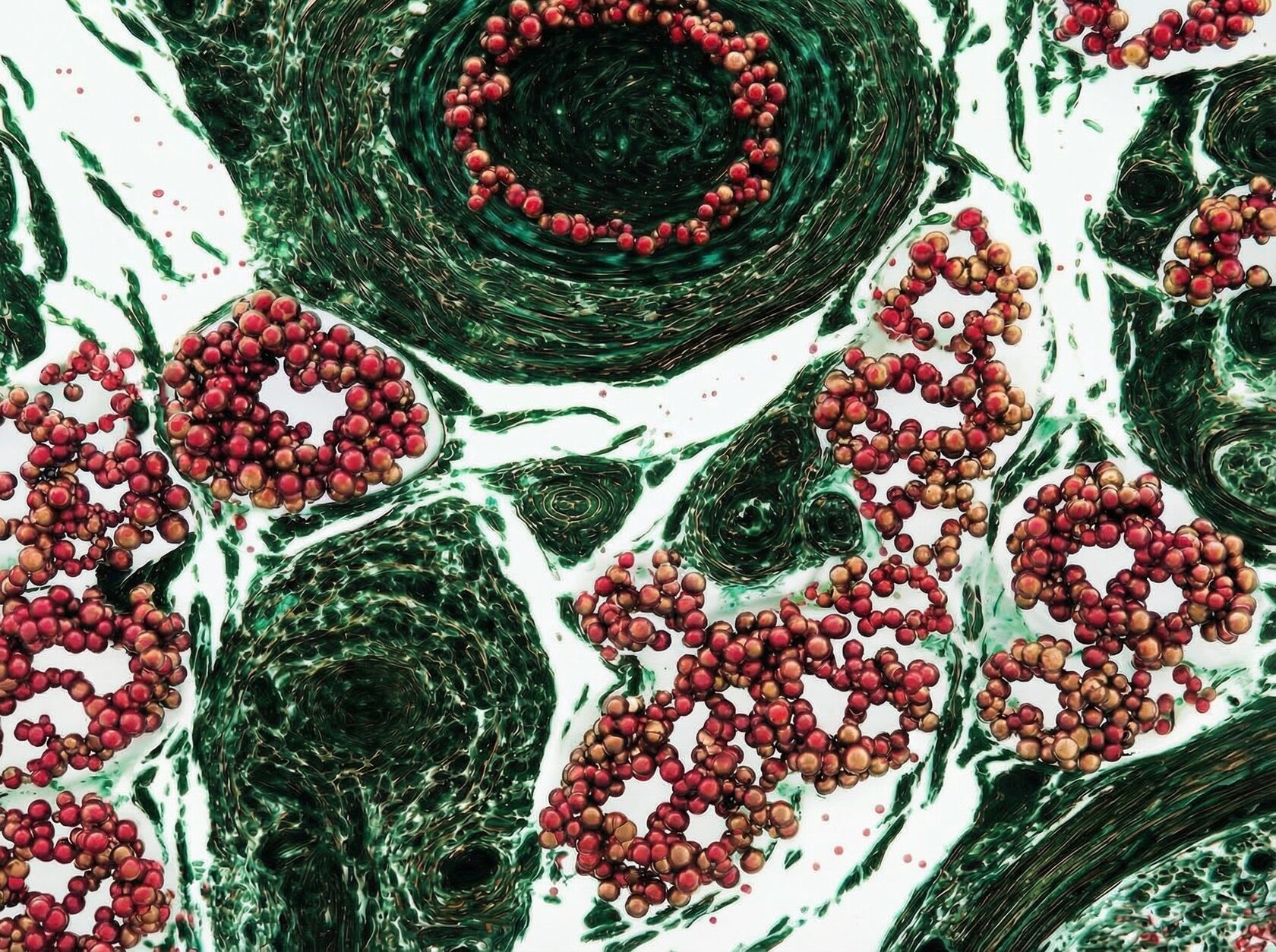 Иллюстрация компонента Ascorbyl Glucoside